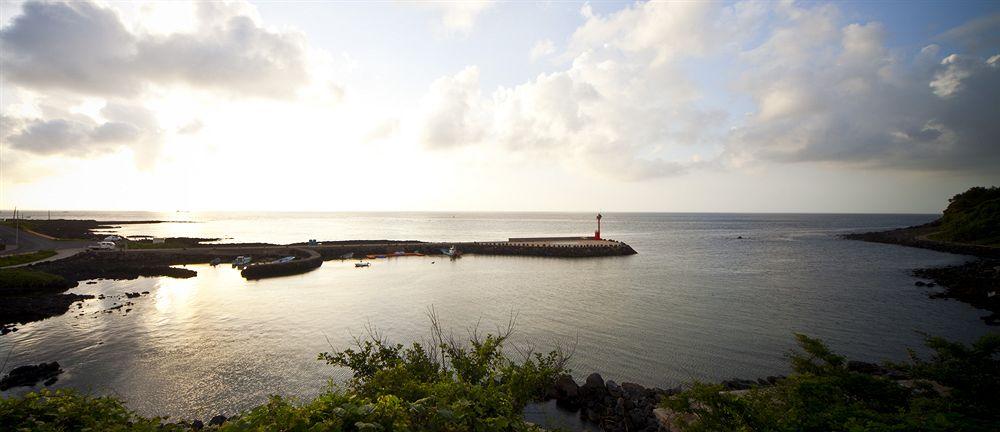 Stanford Hotel And Resort Jeju Dış mekan fotoğraf